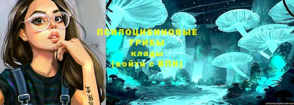 2c-b Вязники