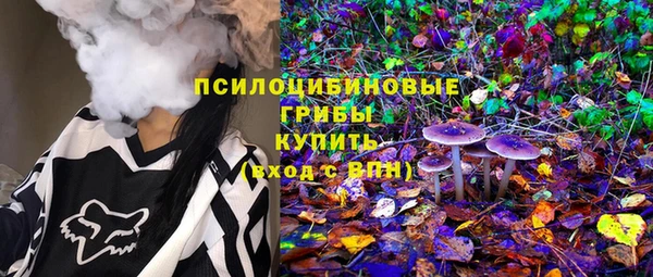 ешки Горно-Алтайск